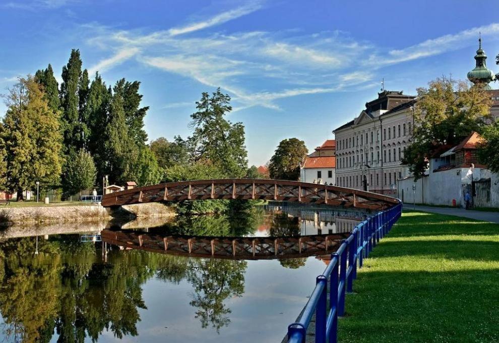 Zlata Hvezda * Ceske Budejovice